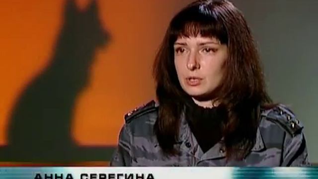 Собаки — универсальное оружие смотреть онлайн