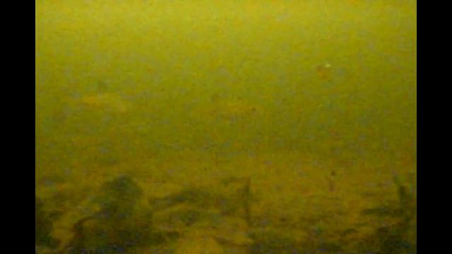 Обзор под водой камеры Calypso или что делает рыба когда не клюёт