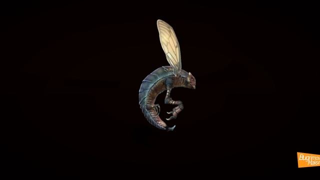Creature Insect Animations смотреть онлайн