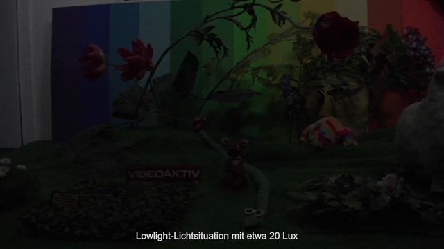Testvideo: JVC GZ -RY 980 смотреть онлайн