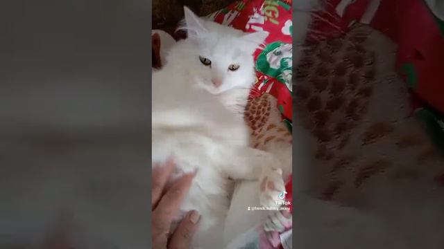 9 марта 2023 г. смотреть онлайн