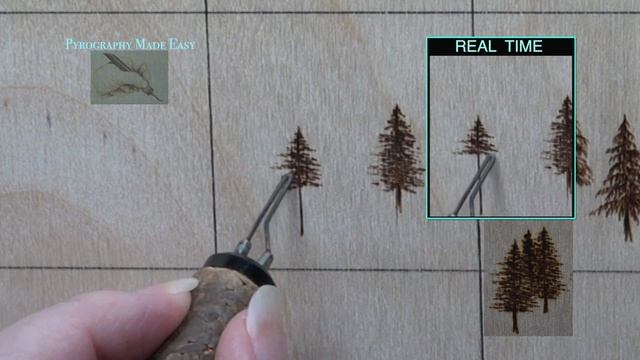 Wood Burning for beginners - 3 types of Evergreen Trees - pyrography tutorial (Cedar, fir, Pine) смотреть онлайн