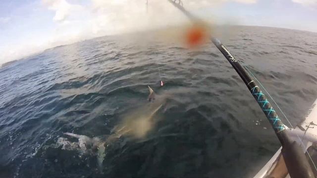 Kayak Marlin Catch And Release