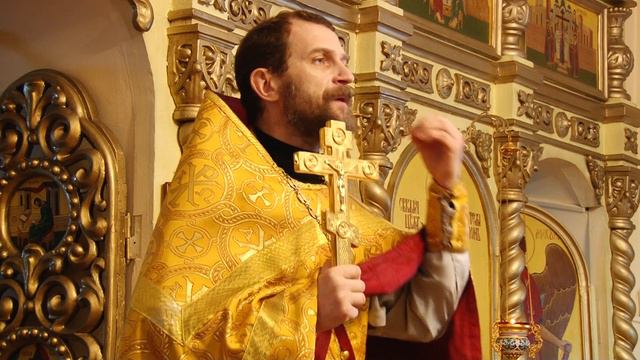 Протоиерей Виктор Иванов. О литургическом единении. 30.10.2016 г. смотреть онлайн