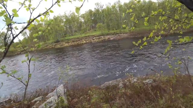 Сёмга. Рыбалка на Кольском полуострове. смотреть онлайн