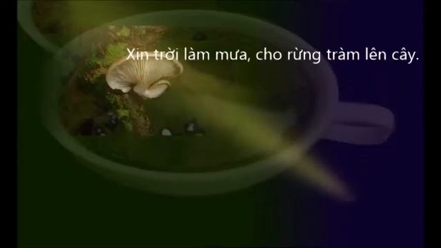Nấm tràm - Trần Ngọc Tuấn - Phan Như смотреть онлайн