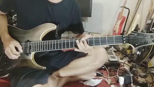 Tes gitar Schecter SLS C1 (korea) | Evolution - Eet Sjahranie (cover) смотреть онлайн