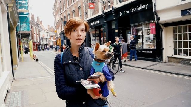 Йорк, Великобритания / Woof travel — путешествия с собакой на машине смотреть онлайн