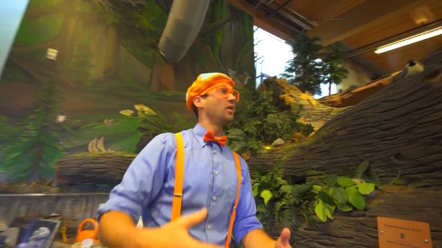 Блиппи изучает погоду - Холодно или Жарко - Blippi