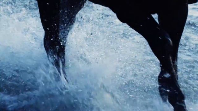 “Cossack History” at Platov Airport смотреть онлайн