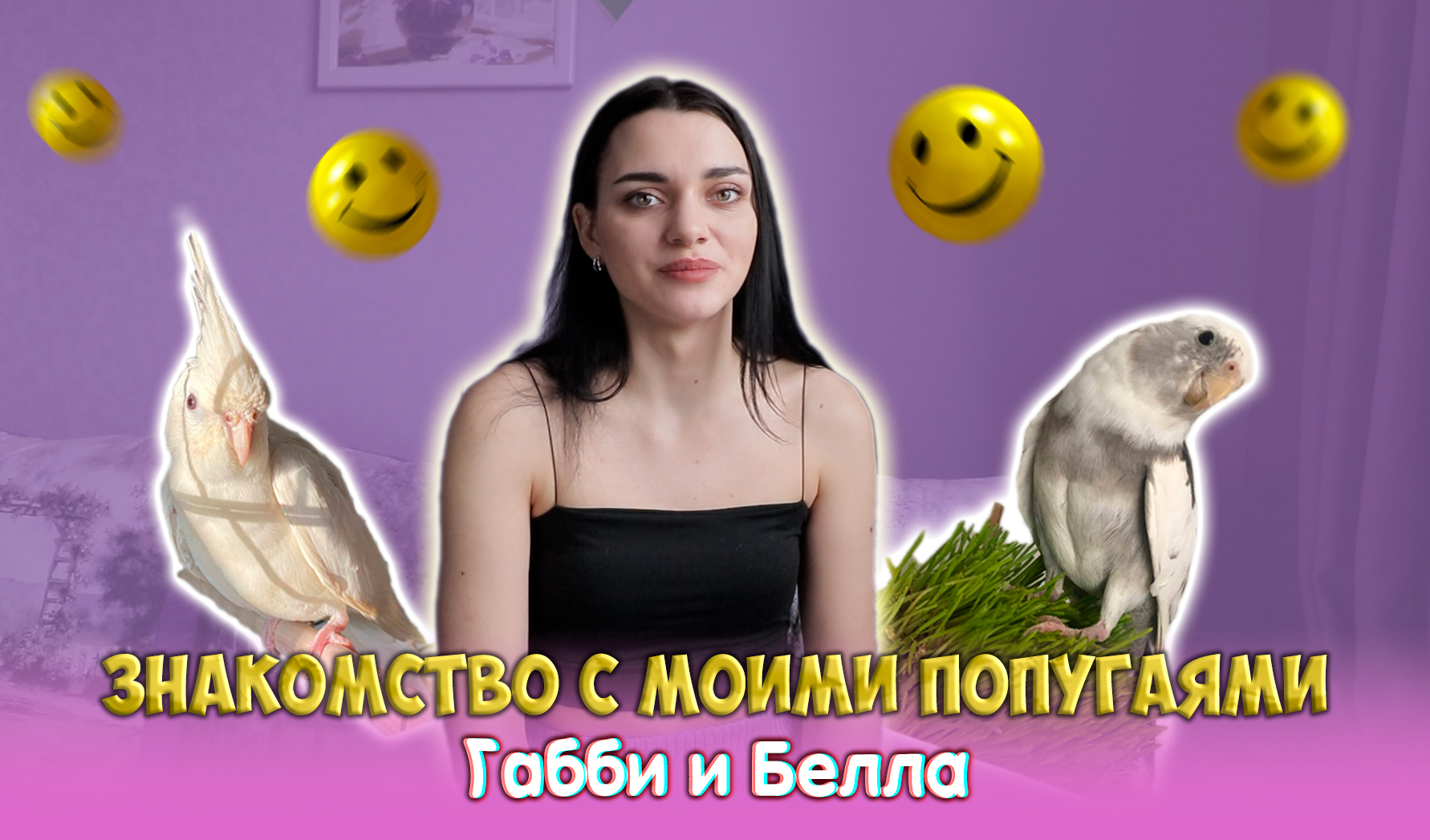 ПЕРВОЕ ЗНАКОМСТВО С МОИМИ ПОПУГАЯМИ смотреть онлайн