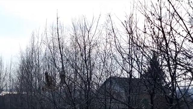 10 марта -День памяти святителя Порфирия смотреть онлайн