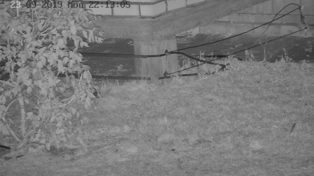 Hikvision DS 2DE5425IW 4MP 2K смотреть онлайн