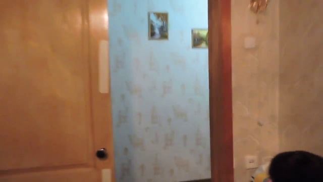 DSCN8891 смотреть онлайн