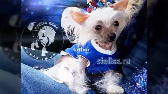 Сказки живут на свете смотреть онлайн