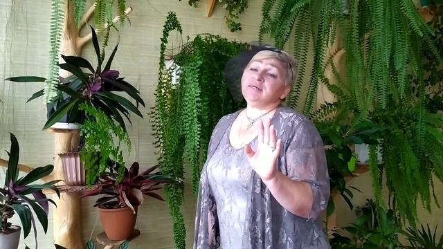 Романс,,На заре ты её не буди'' смотреть онлайн
