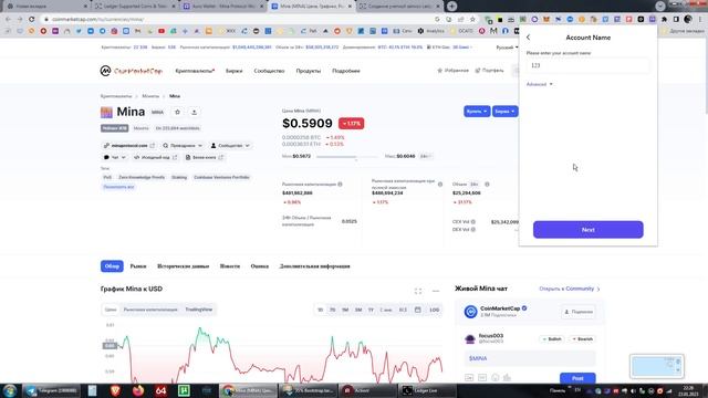 Mina Ledger - как хранить