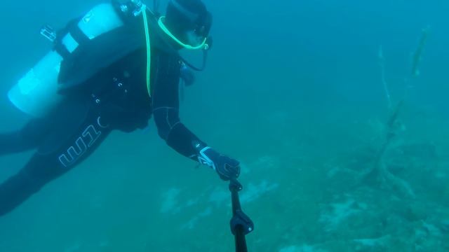 На дайвинге фитнес клуб Адреналин смотреть онлайн