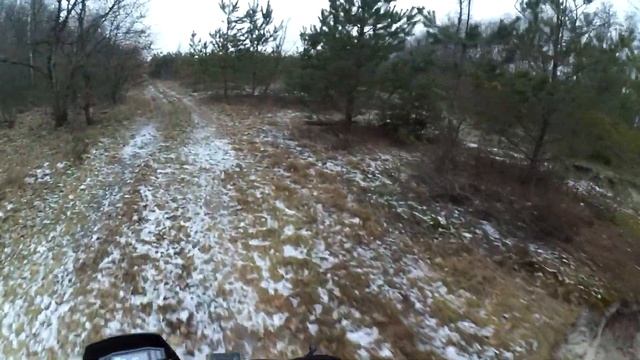 Заблудились в Затопленому лісі, Мото-Пригоди/ Shineray TRicker 250/ Viper V250L NEW/ part 1 смотреть онлайн