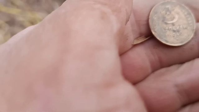 коп поиск монет и старины на поле вечерний коп ,по распашке смотреть онлайн