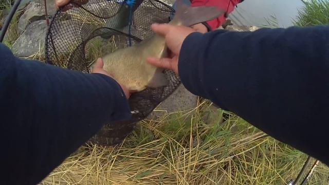 Мой САМЫЙ КРУПНЫЙ ЛЕЩ пойманный на ФИДЕР. Рыбалка с ДРУЗЬЯМИ! Калининградский морской канал. смотреть онлайн