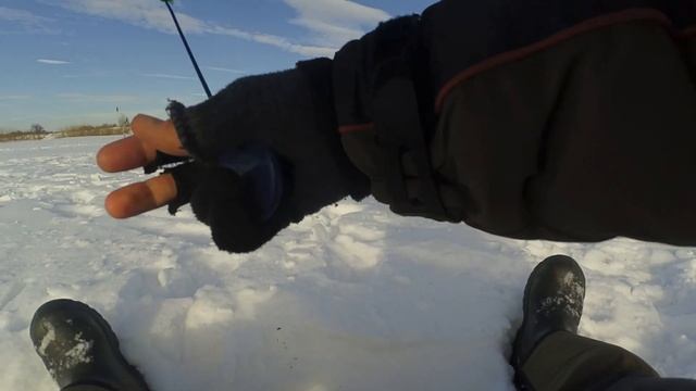 ПРОВЕРЯЮ ЖЕРЛИЦЫ С НОЧИ/ДУМАЛ ТАМ КЛЮНУЛ КРОКОДИЛ/ловля крупных окуней на мормышку смотреть онлайн