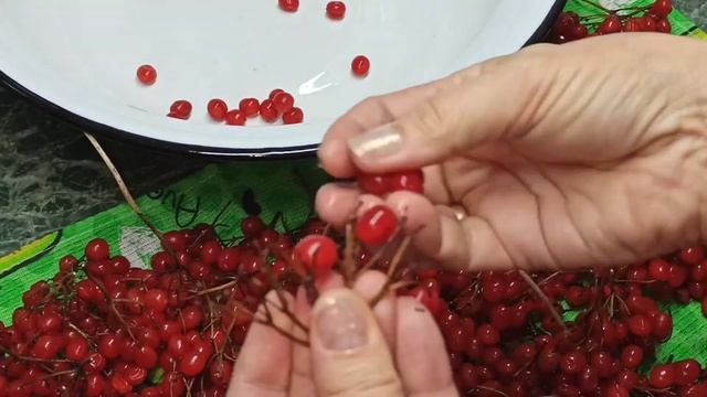 Строительные Материалы