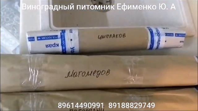 рассылка саженцев Почтой России смотреть онлайн