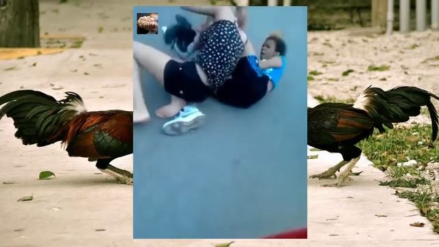 Девушки с интересными прическами дерутся смотреть онлайн