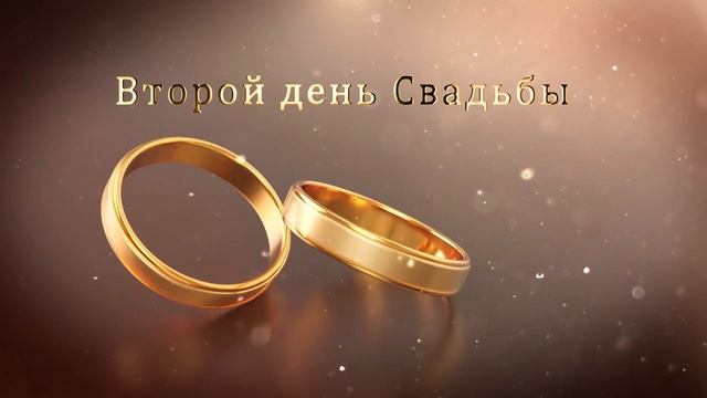 1.17 Свадебные Футажи. Второй день Свадьбы (Золотые Кольца) смотреть онлайн