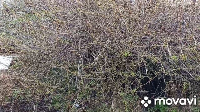 🙃Погреб поплыл.Дурная голова покоя не даёт смотреть онлайн