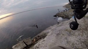 РЫБАЛКА НА ИРИКЛИНСКОМ ВОДОХРАНИЛИЩЕ ОСЕНЬЮ.  ЖИВЕЦ В ДЕЛЕ. ОКУНЯ И СУДАКИ