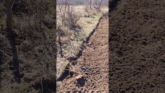 фреза сван арго в деле или апрельская земля сыровата для газонных работ. смотреть онлайн
