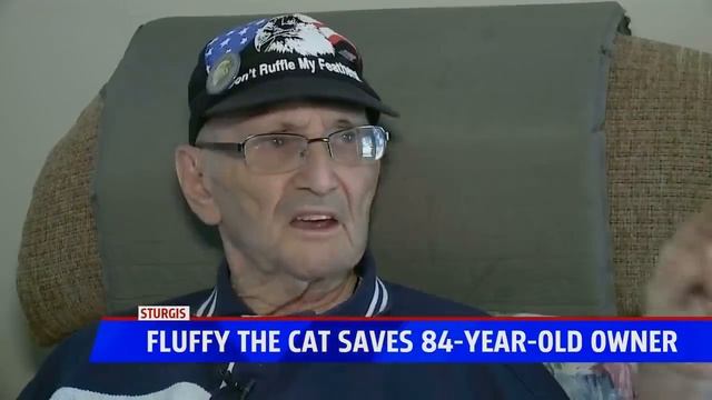 Cat saves man's life after fall смотреть онлайн