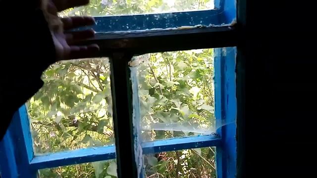 СЕАНС/ЭГФ В ЗАБРОШЕННОМ ДОМЕ ПРИСУТСТВОВАЛ БЕСС смотреть онлайн