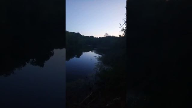 А может здесь русалки водятся? смотреть онлайн