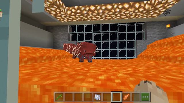 Я построила ОГРОМНЫЙ приют для животных!Обзор смотреть онлайн