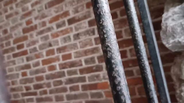Москва. Царицыно — дворцово-парковый ансамбль зимой. часть 11. смотреть онлайн