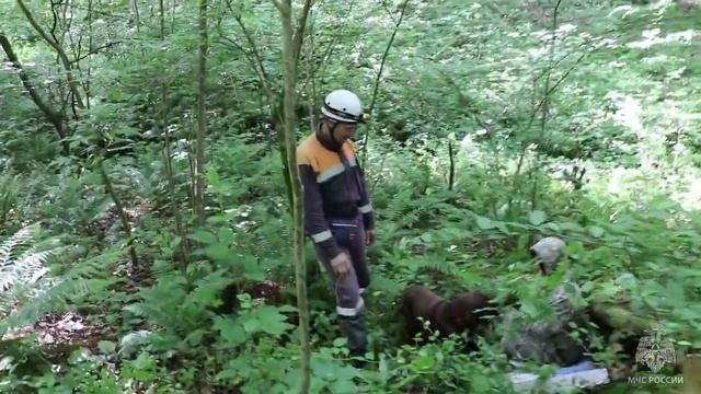 Сборы кинологов МЧС в г. Сочи. Май 2023