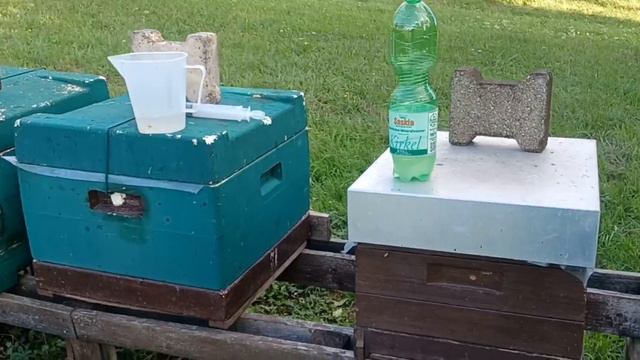 пчёлы, обработка пчёл щавельной кислотой 3 августа смотреть онлайн