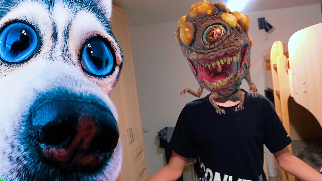 МЛАДШИЙ ЧЕЛОВЕК НЕ ТОТ ЗА КОГО СЕБЯ ВЫДАЕТ!!! (Хаски Бандит) Говорящая собака смотреть онлайн