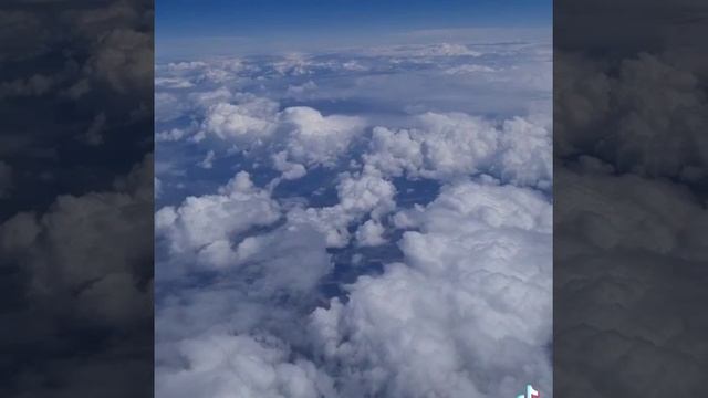 Возобновление приема документов на оформление виз в Португалию смотреть онлайн