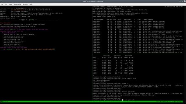 FreeBSD/bhyve-based K8S clusters (tech preview) смотреть онлайн