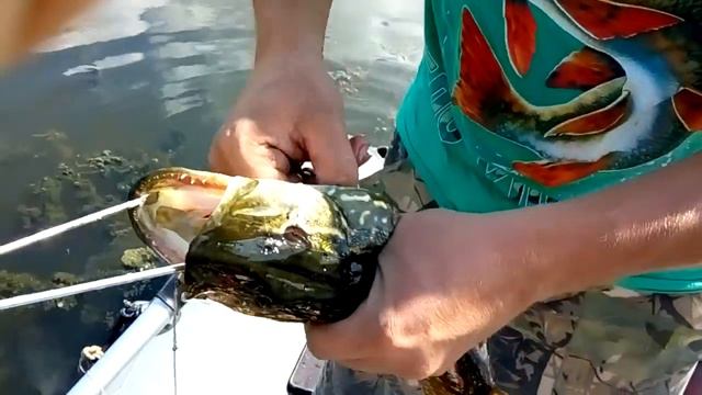 Щука на поставушки 2017 смотреть онлайн