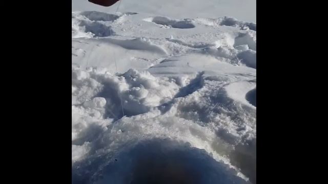 Рыбалка на окуня и щуку в Свердловской обл. Тавдинского р-н. Река Тавда. смотреть онлайн