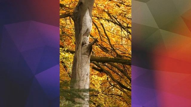 11 Невероятно красивых деревянных скульптур смотреть онлайн