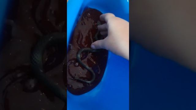 Змеи собрались никто упала в кактус а вера тоже смотреть онлайн