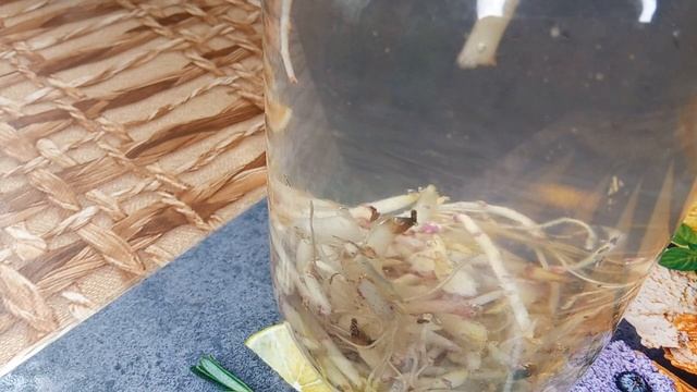 Ростки картофеля, отличный стимулятор  роста для растений