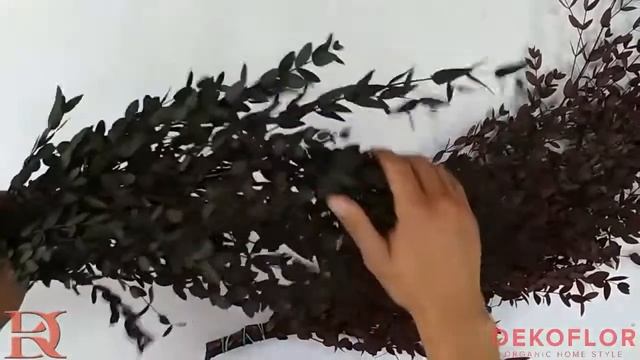 Стабилизированная Парвафолия смотреть онлайн