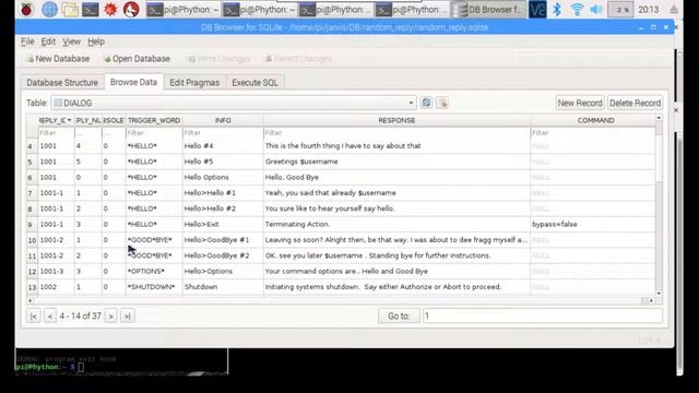 Project Python - Computer Database and interface sqlitebrowser basics смотреть онлайн